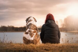 犬と人間